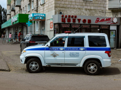 В Камышине полицейские задержали подозреваемую в краже сумки у пенсионерки