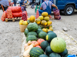 В Камышине тыква по цене почти вдвое обогнала арбузы, не отстает по дороговизне и капуста 