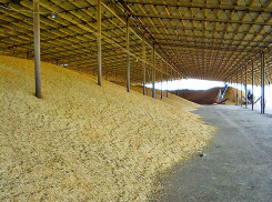 По подсчетам волгоградского эксперта, «жизненные» продукты в Волгоградской области должны быть в четыре раза дешевле 