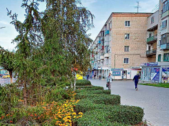 В Камышине в понедельник ветрено и свежо, но уже во вторник гораздо теплее, +20