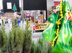 hh.ru: до 1000 рублей  готовы потратить на подарок коллегам большинство россиян