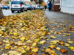 В Камышине будет держаться теплая погода 8 ноября, но ночью пройдет небольшой дождь