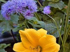 В Камышине воскресенье 2 августа будет солнечным и комфортным