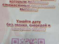 У жителей Волгоградской области под видом Госуслуг через чат-бот выманивают данные, - «Блокнот Волгограда»