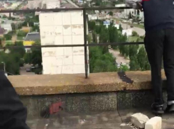 В Камышине пользователи соцсетей выложили жутковатую фотографию с подростками на крыше высотки в 5-м микрорайоне