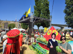 Организаторы Камышинского Арбузного фестиваля «скормят» его участникам 20 тонн арбузов - хватит ли туалетов? (ВИДЕО)