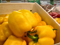 К последнему дню уходящего года в Камышине подешевели мандарины и подорожал сладкий перец