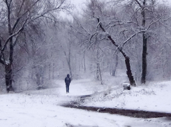Камышан предупредили о метели