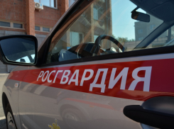 «Мадам воровку», объявленную в федеральный розыск, задержали росгвардейцы в Камышине на улице Пролетарской