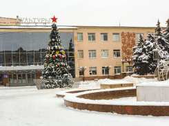 В Камышине городские елки оказались долгожителями