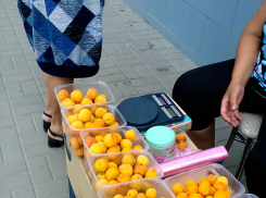 В Камышине завершается абрикосовый сезон