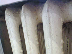 В Камышине на карантин посадили... батарею