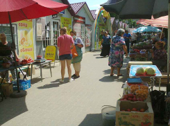 Камышинская городская дума разрешила администрации Камышина иметь в 2020 году огромный муниципальный долг в 246 миллионов рублей