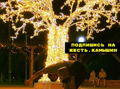 Камышан под электрическим деревом на набережной развлекают местные брейкеры