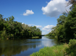 Администрация Камышинского района незаконно продала бизнесмену райский участок на берегу Иловли