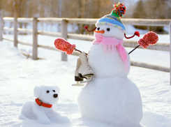 Городской семейный конкурс «Парад снеговиков» - прими участие	