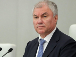 «Надо навести порядок»: Володин призвал запретить «наливайки» в жилых домах, - «Блокнот - Россия»