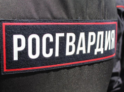 Закоренелая 29-летняя неплательщица алиментов бросилась наутек от росгвардейцев в Камышине