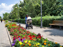 В Камышине в июне спад рождаемости не вышел из грустного «пике»