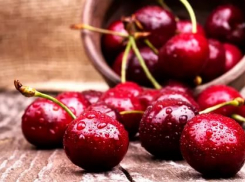 Ждать ли камышанам урожая местной черешни?