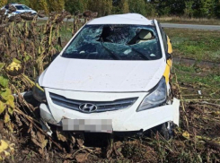На московской трассе «Солярис» улетел в кювет - весь салон авто отправился на хирургические койки