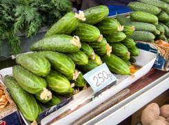 Кто-нибудь проверяет овощи на камышинских рынках на нитраты? - камышанка