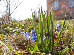 В Камышине наступает солнечная и прохладная среда