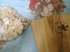 В Камышинскую исправительную колонию №24 передали наркотики в овсянке