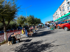 Сегодня, 7 октября, камышанам можно получить бесплатную юридическую помощь