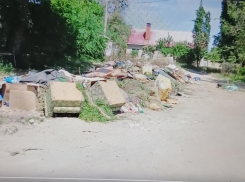 Пользователи сняли на камеру мусорные «Гималаи» в Камышине (ВИДЕО)