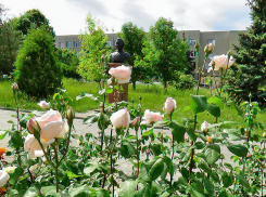 В Камышине администрация Станислава Зинченко решила эффективнее гасить гигантский муниципальный долг, но пока только на бумаге