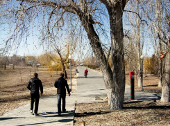 В Камышине заразились коронавирусом за сутки 7 человек