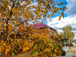 Погодная повестка для камышан: температура воздуха снижается