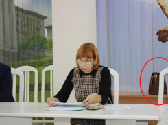Руководителя комитета соцзащиты администрации Волгоградской области заметили на совещании с сумкой за 160 тысяч рублей, - «Блокнот Волгограда»