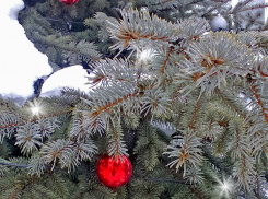 Отличная зимняя погода установится в последнее воскресенье новогодних каникул в Камышине