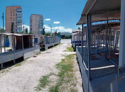 Почему в Камышине совсем опустел Дмитриевский рынок в 4-м микрорайоне? - камышанка