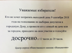 Организаторы выборов в Камышине  долго думали, куда послать камышан 9 сентября вместо участковых избирательных комиссий, и придумали...