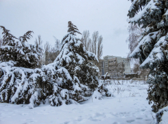  В Камышине морозы немного ослабнут, и пойдет снег