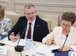 Волгоградский сенатор рассказал, как будет повышать рождаемость, - «Блокнот Волгограда»