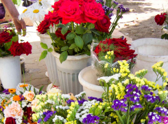 +32 - и ни облачка: жара в Камышине идет в наступление