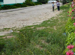 Почему в Камышине суд отменил наказание административной комиссии для собственницы авто, припарковавшегося на «зеленой зоне» 