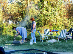 Мини-зарисовка с натуры: «Ай да камышанки!»