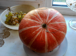 Камышане вняли диетологам и пошли на рынок скупать тыквы