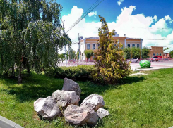 В Камышине «заржавело» одно из двух центральных деревьев в композиции у «культового» городского памятника Арбузу