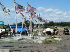 На воинском участке муниципального кладбища в Камышине родные погибших бойцов обнаружили в День России коров, «раскидывающих мордами цветы»