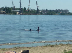 В Камышине юные пловцы открыли купальный сезон