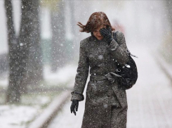 ГУ МЧС предупредило камышан о шторме с метелью и перепадами температур