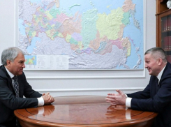 Вячеслав Володин и Андрей Бочаров встретились по поводу международного форума в Волгограде