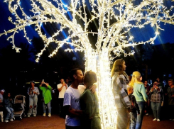 В Камышине новое светодиодное дерево на набережной стало «поцелуйным», но горожане переживают за его судьбу