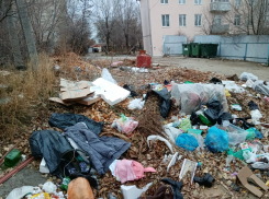 Определились, кто будет нормально вывозить мусор в Камышине, или нет? - камышанка
